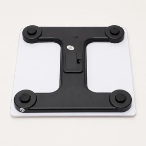 Body Weight Scale